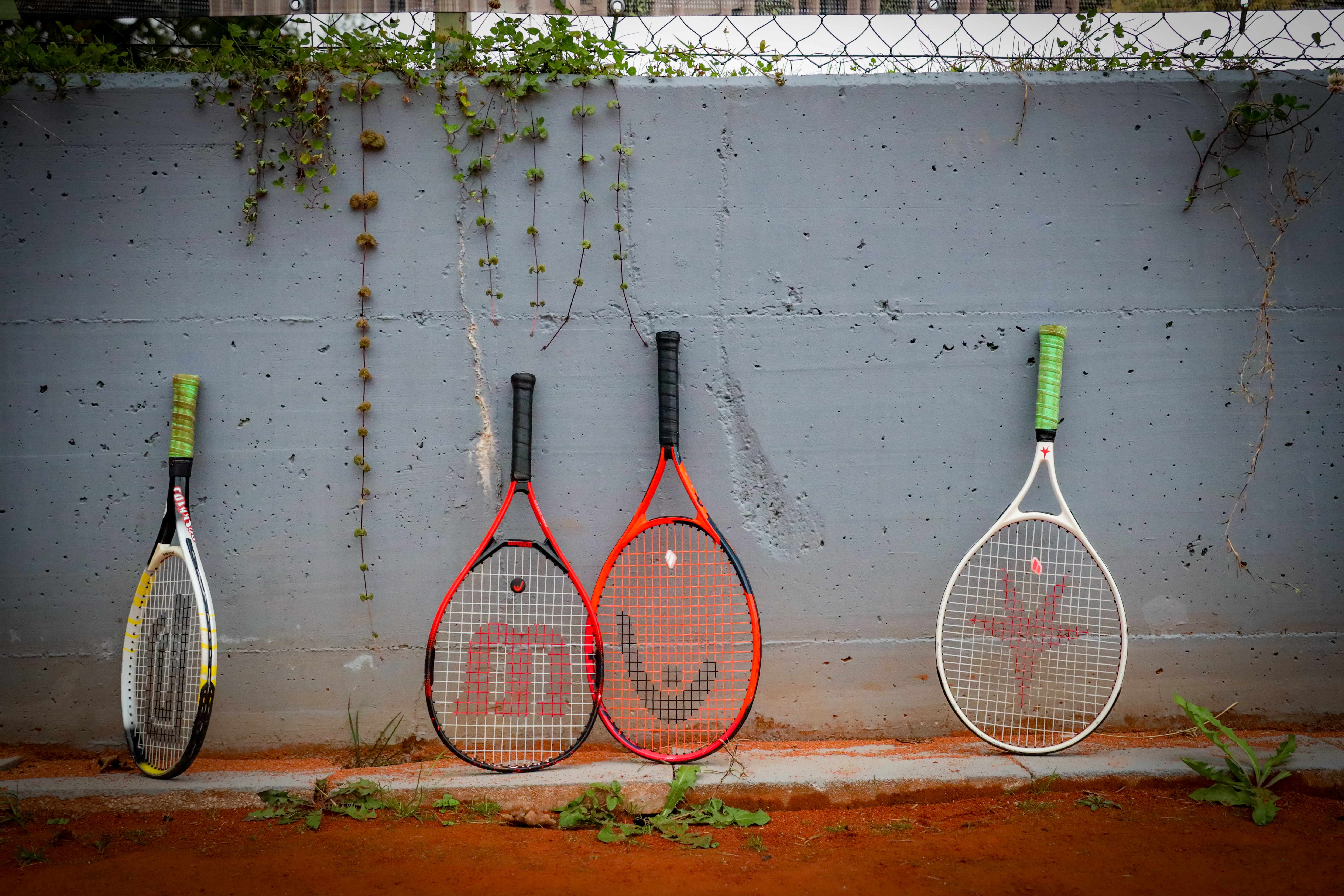 Fotoservice: Thomas Brandauer: PSX_20251007_151225.jpg